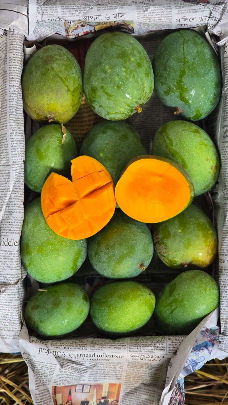 গোবিন্দভোগ আম। ১২ কেজি - Image 4