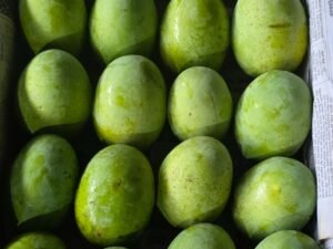 ল্যাংড়া আম। ১২ কেজি